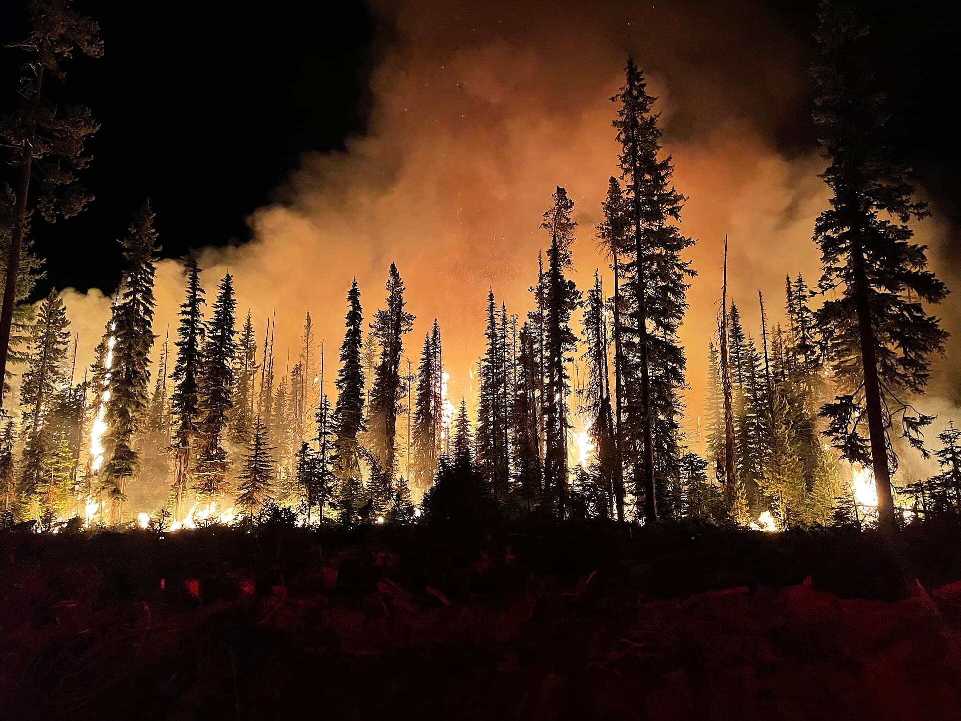 Night photograph of a wildfire glowing on a dark ridgeline, used here as a study in darkness and low light rather than as a product shot.