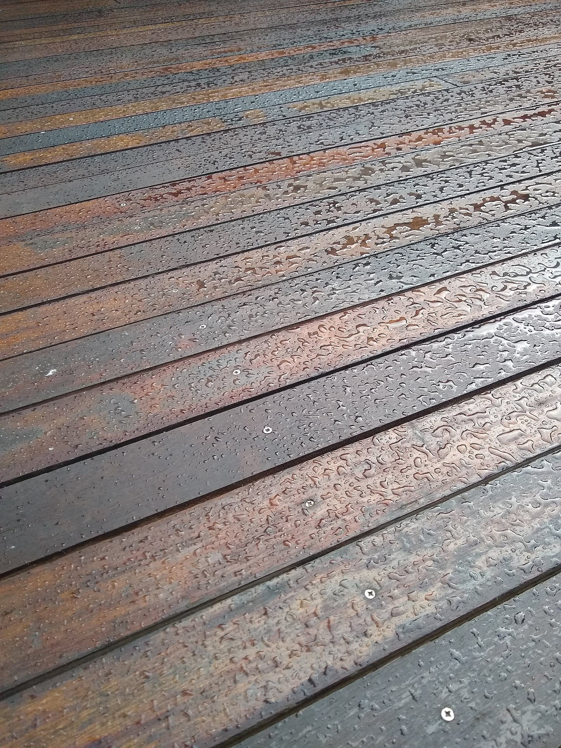 Hardwood decking boards after rain, wet grain showing the film and the gaps where a deck stays damp.